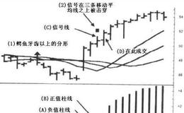 [2009年非言时代]为什么会存在“寄生虫”型的私募？