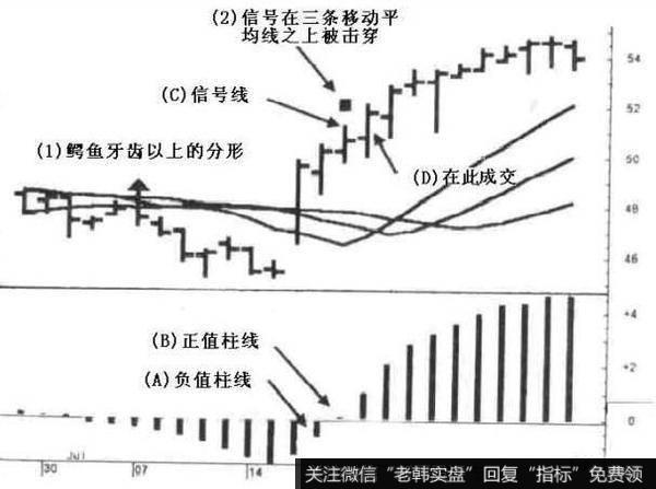 [2009年非言时代]为什么会存在“寄生虫”型的私募？