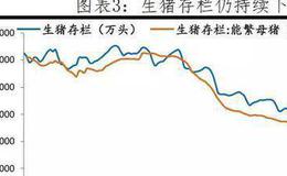 任泽平股市最新相关消息：2020年下半年猪肉价格有望迎来拐点