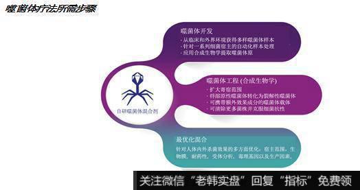 杨德龙<a href='/caijunyi/290233.html'>股市</a>最新消息：BiomX股份有限公司，市场潜力巨大的尖端噬菌体疗法研发公司1