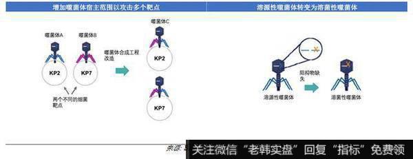 杨德龙<a href='/caijunyi/290233.html'>股市最新消息</a>：BiomX股份有限公司，市场潜力巨大的尖端噬菌体疗法研发公司2