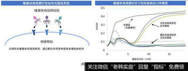 杨德龙股市最新消息：BiomX股份有限公司，市场潜力巨大的尖端噬菌体疗法研发公司3