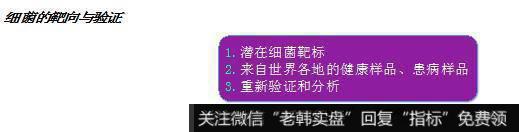 杨德龙股市最新消息：BiomX股份有限公司，市场潜力巨大的尖端噬菌体疗法研发公司4