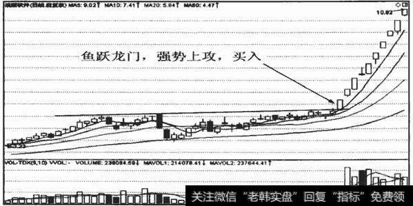 鱼跃龙门,后市看涨,买入