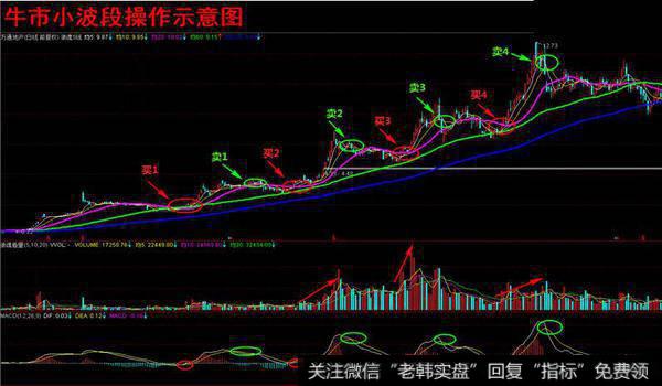 牛市小波段操作