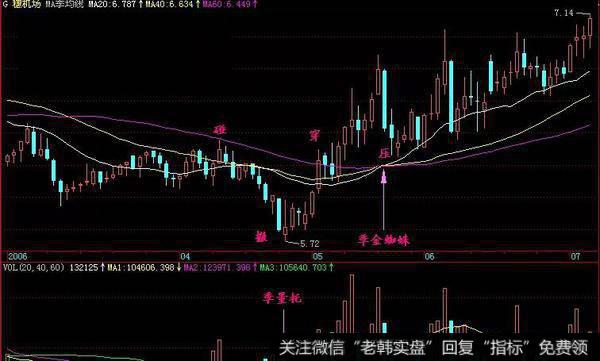 金蜘蛛形态实战案例