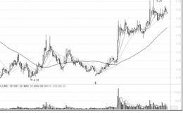 行业发展态势滋润黑马成长——从行业生命周期中掘出黑马