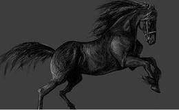 市场炒作推动黑马奔跑——易于孕育黑马的重大事件
