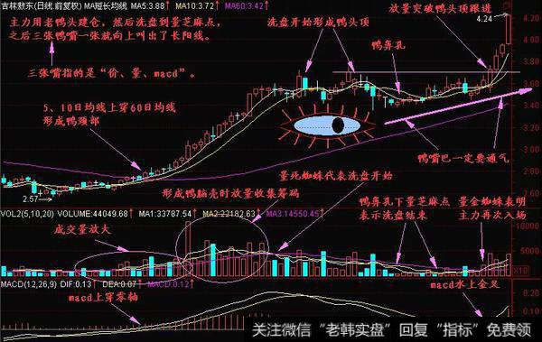 老鸭头形态的操作方法