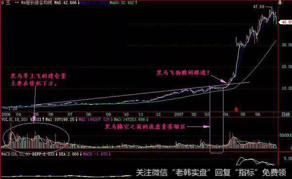 黑马草上飞形态实战案例