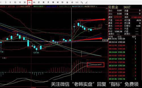 华平投资集团是如何进行专业经营模式投资的？其重要特点是什么？