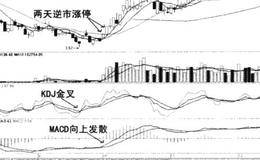 实战案例:<em>德赛电池</em>、智光电气的分析