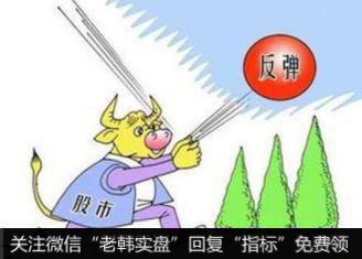 反弹中的强势股