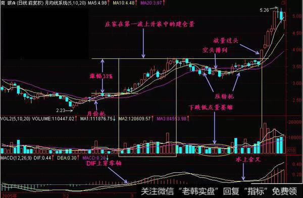 头部和腰部的特点