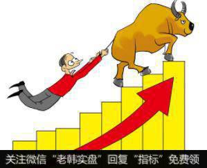 局部牛市有哪些投资技巧