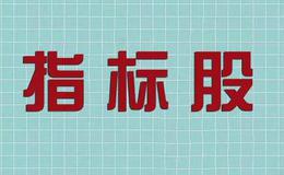 炒股入门知识丨指标股包含的种类及基本概念要点