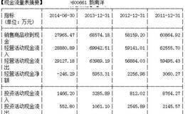 分析个股财务报表找黑马：如何从现金流量表中找黑马