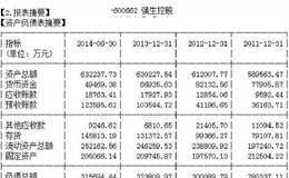 分析个股财务报表找黑马：如何从公司资产负债表中找黑马