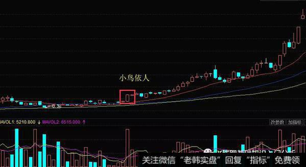 K线形态小鸟依人的实战案例