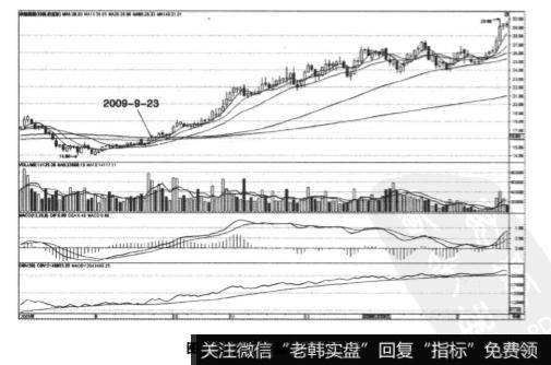 承德露露