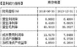 分析个股财务指标找黑马——在每股净资产中找黑马