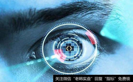 虹膜识别概念股