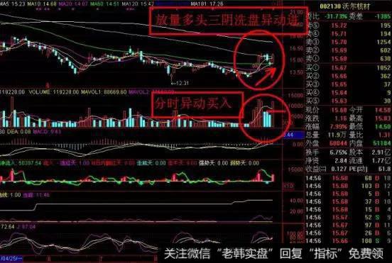 具体盘面异动的内涵快速本能的理解是非常重要的