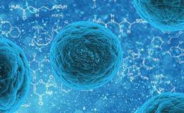 超级干细胞临床试验望明后年展开 干细胞概念股受关注