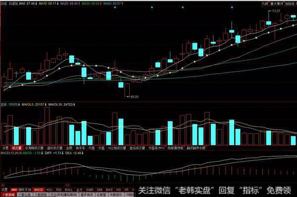 指数暴跌的个股不跌表现坚挺