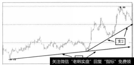 支1与支2区别图