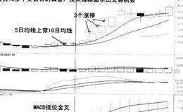 参与创业板个股必须注意什么以及创业板个股实操技巧