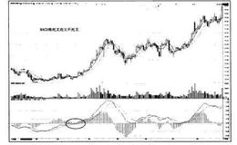猎杀股票黑马：MACD将死叉而不死叉使用法则
