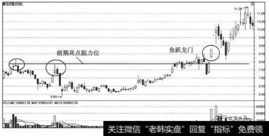 鱼跃龙门