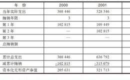 激进型利润表：无形资产费用化