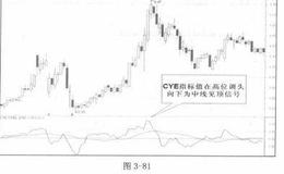 CYE市场趋势指标详解
