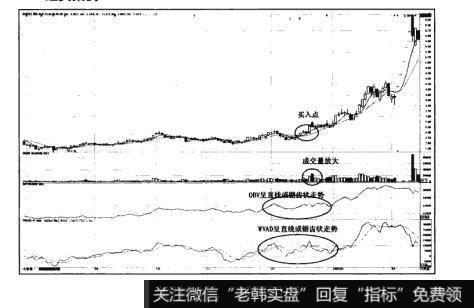 图13-1形态特征