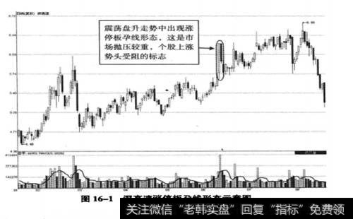 <a href='/ggnews/263643.html'>深高速</a>(600548) 2009年1月12日至8月19日期间走势图