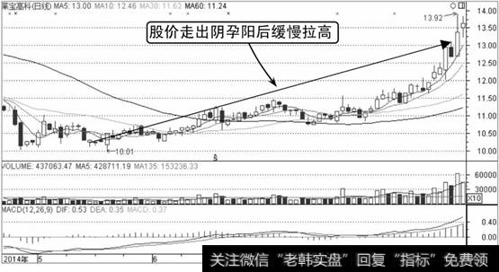 莱宝高科K线走势图2