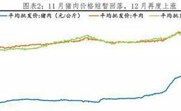 任泽平股市最新相关消息：点评11月物价：不能为了一头猪牺牲整个国民经济