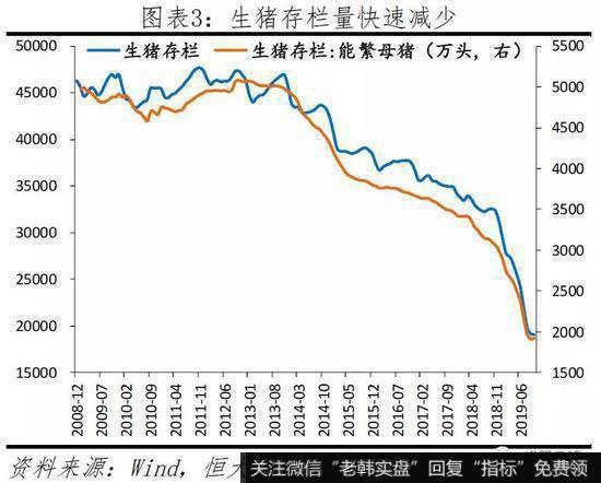 任泽平股市最新相关消息：点评11月物价：不能为了一头猪牺牲整个国民经济4