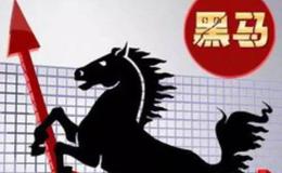 股票知识入门｜在股票市场中怎样选择<em>黑马股</em>？