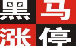 四点发掘大主力庄家介入“黑马”