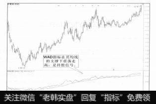 持股信号