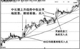 什么是旱地拔葱？旱地拔葱形态技术详解