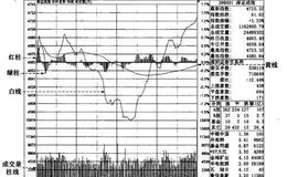 深证领先指标图中的“黄线和白线”“红柱和绿柱”“黄色柱状线”的作用是什么？