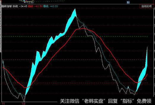 公司基本分析界面的财务数据和股本分红包括哪些栏目？