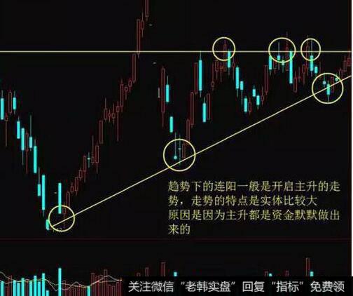 公司基本分析界面的主力动向、公司经营包括哪些内容？