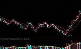 飞狐盘中参考指标公式源码最新分析