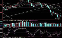 飞狐估抄底指标公式源码最新分析