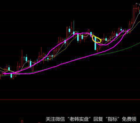 飞狐极品逃顶指标